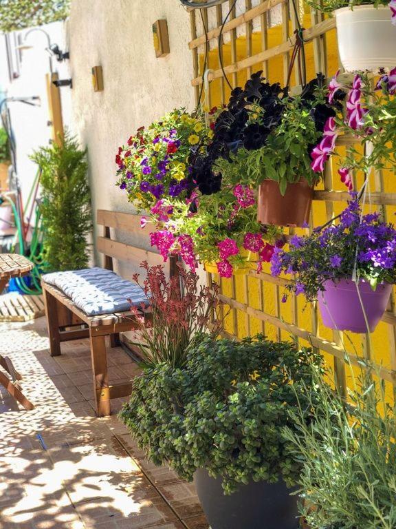 Afrodites Residence Triopetra Esterno foto